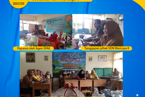 Sosialisasi SDN Maricaya II